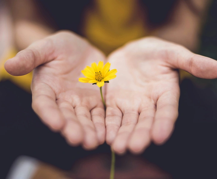 Ways to give